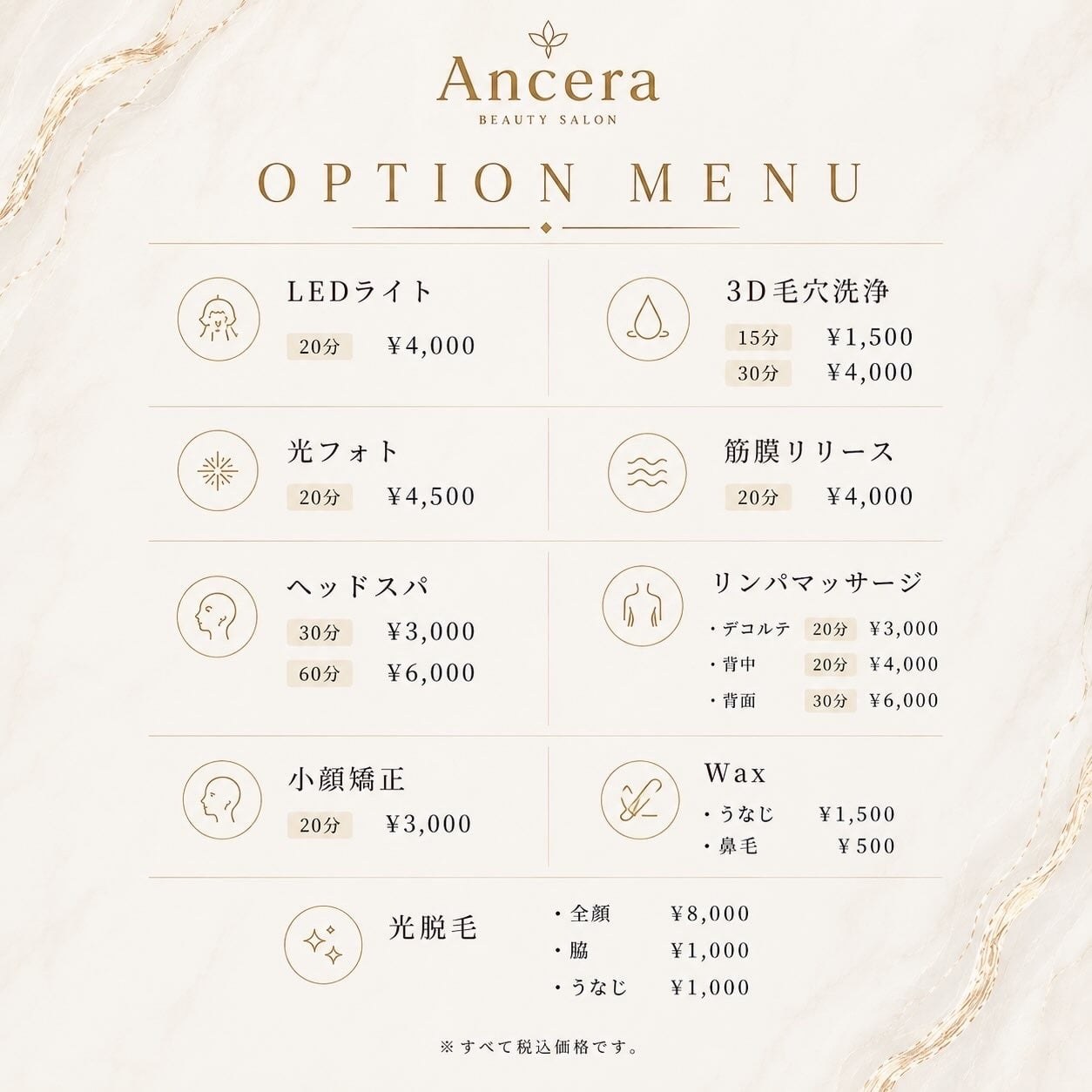 Ancera オプションメニュー料金表